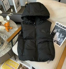 Picture of Burberry Down Jackets _SKUBurberryS-XLLCn308629